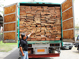 PNoy, inutos ang implementasyon ng total log ban sa ARMM | GMA News Online