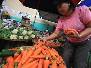 Senator Gatchalian proposes establishment of agriculture information system