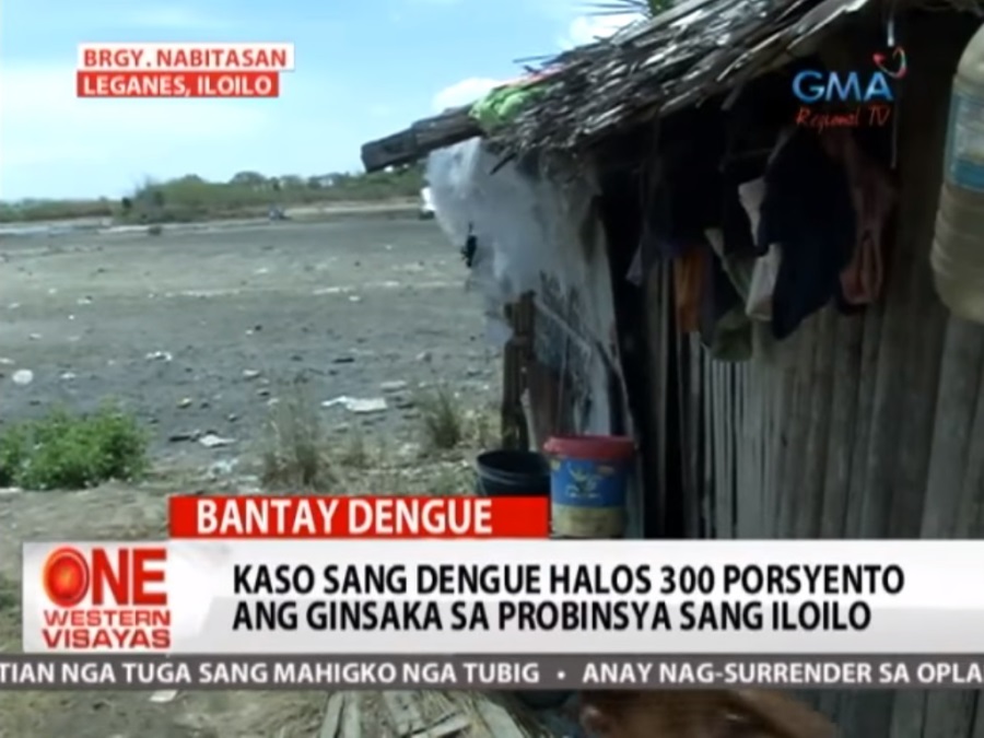 One Western Visayas 300 Porsyento Ang Saka Sang Dengue Cases One Western Visayas Gma