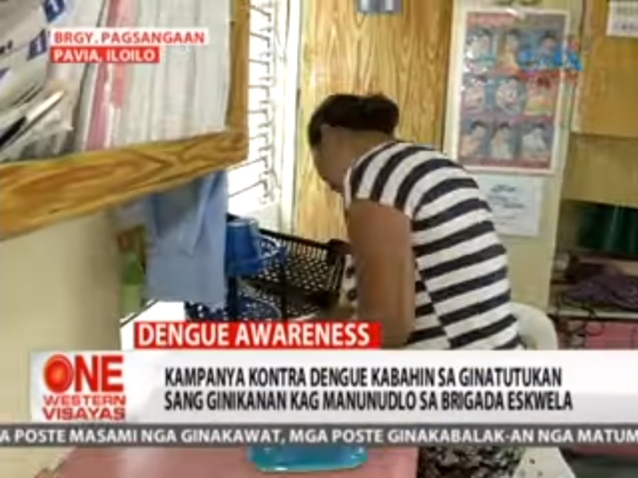 One Western Visayas Dengue Case Target Nga Panubuon Sa Brigada Eskwela One Western Visayas