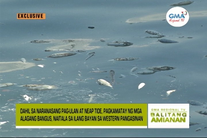 Balitang Amianan: Fishkill sa Western Pangasinan