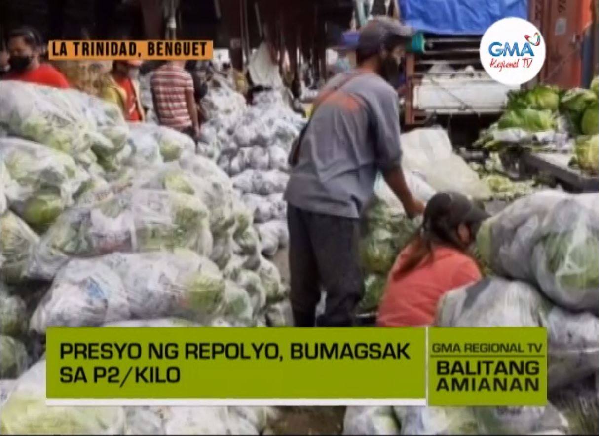 Balitang Amianan Presyo Ng Repolyo P2 Kada Kilo Balitang Amianan Gma Regional Tv Online Home Of Philippine Regional News And Events