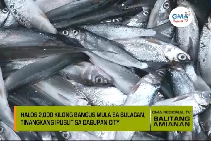 Balitang Amianan: Kilo-Kilong Bangus, Tinangkang Ipuslit sa sa Dagupan City