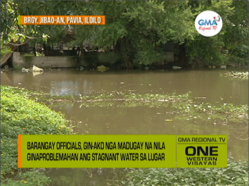 One Western Visayas: Barangay Official, Nag-ako nga Indi Masangan ...