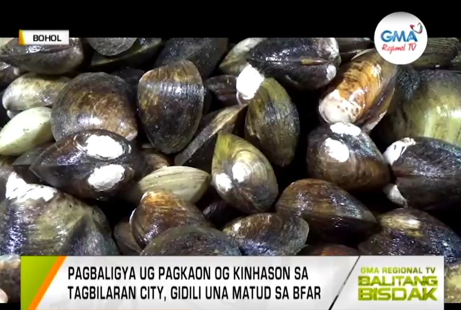 Balitang Bisdak: Red Tide Advisory Sa Bfar