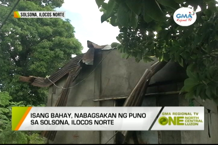 One North Central Luzon: Nabagsakan Ng Puno