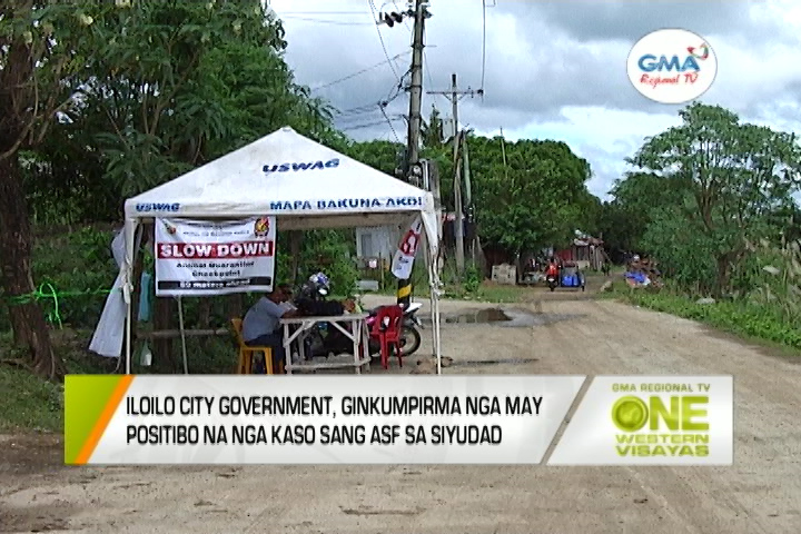 One Western Visayas Iloilo City LGU Ginkumpirma Nga May Positibo Na Nga Kaso Sang ASF Sa Siyudad