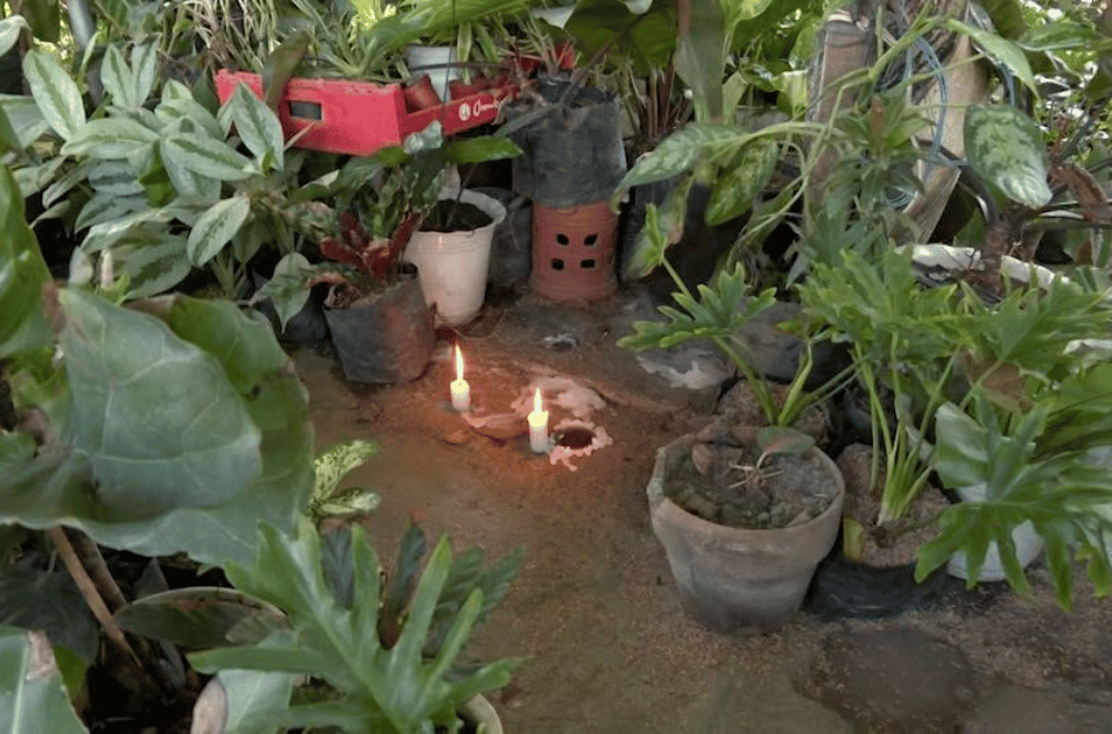 Image via GMA Regional TV One North Central Luzon