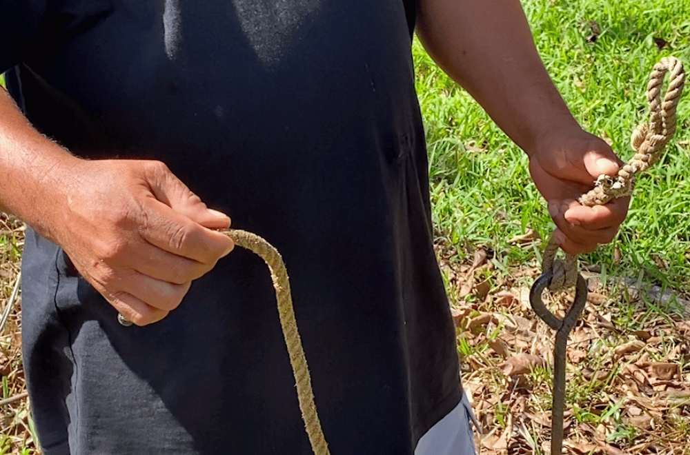 Photo via GMA Regional TV One North Central Luzon