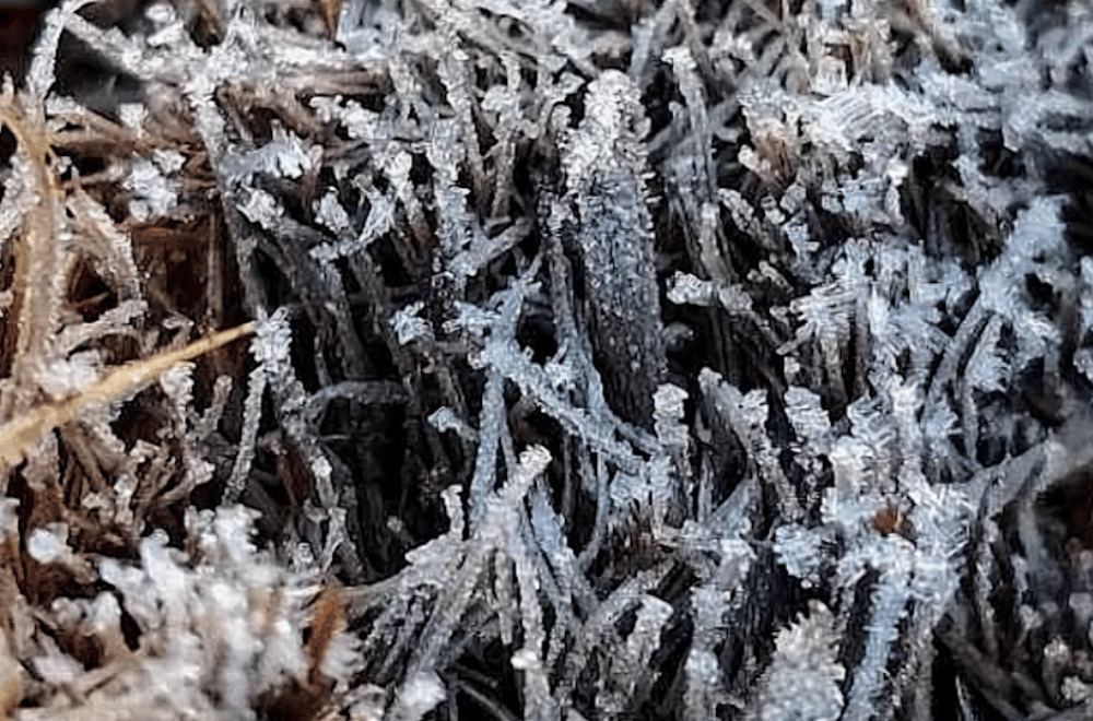 Photo courtesy of TRYSHA ZARATE / SILVA PACLIWAN