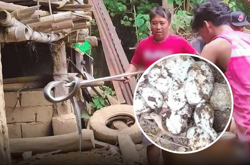 Photo courtesy: CENRO-Solana