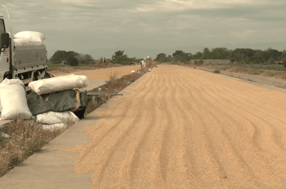 Photo via GMA Regional TV One North Central Luzon