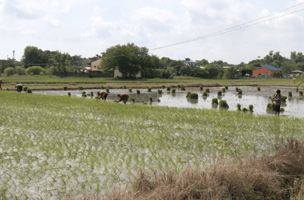 Photo via GMA Regional TV One North Central Luzon