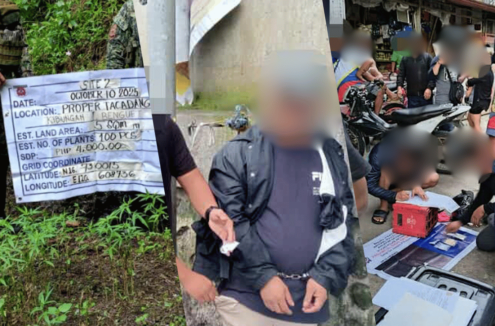 Photo courtesy: PDEA, PRO-CAR