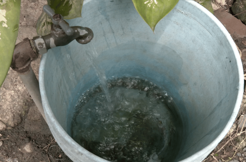 Photo via GMA Regional TV One North Central Luzon