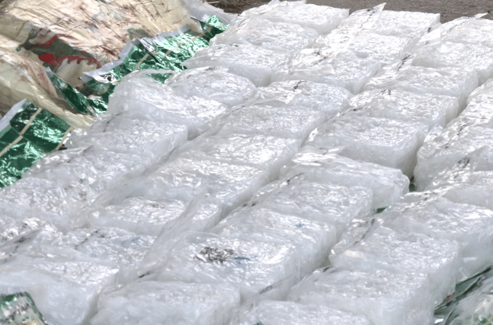 P850M worth of shabu seized in Pangasinan buy-bust