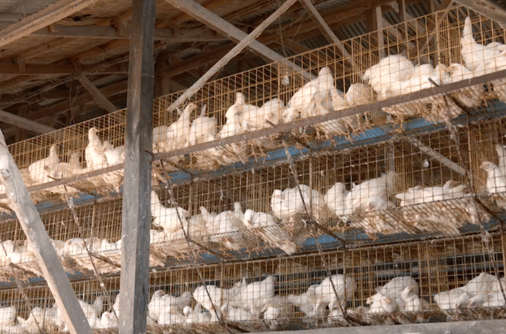 Photo via GMA Regional TV One North Central Luzon