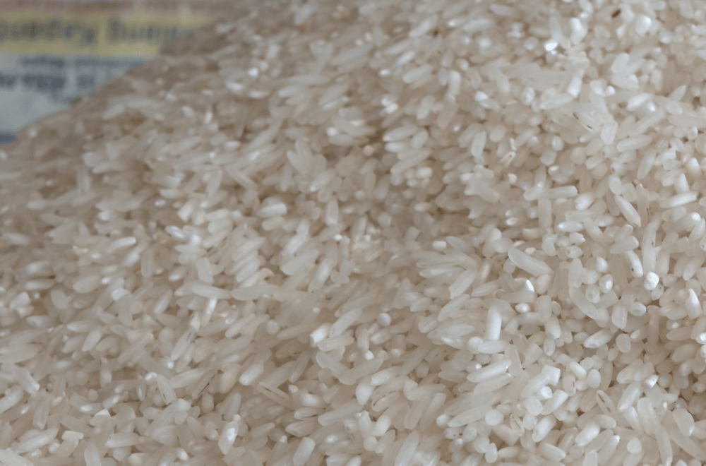Rice prices drop to P30 per kilo in Pangasinan