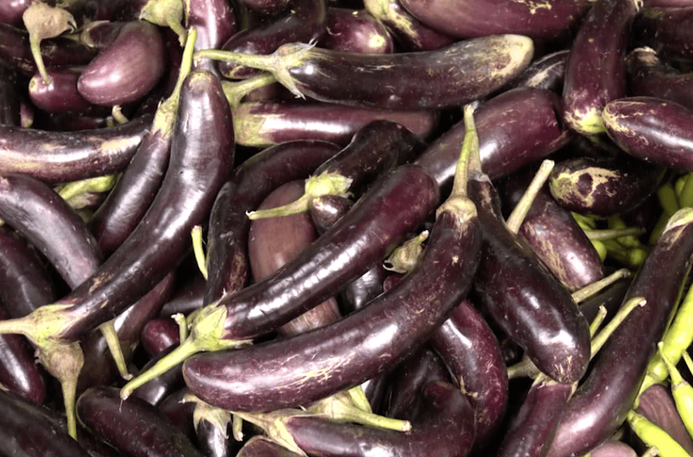 Photo via GMA Regional TV One North Central Luzon