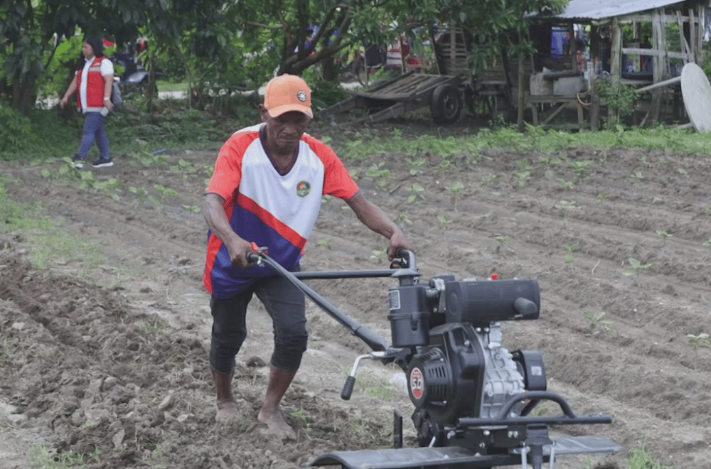 Photo courtesy: DSWD