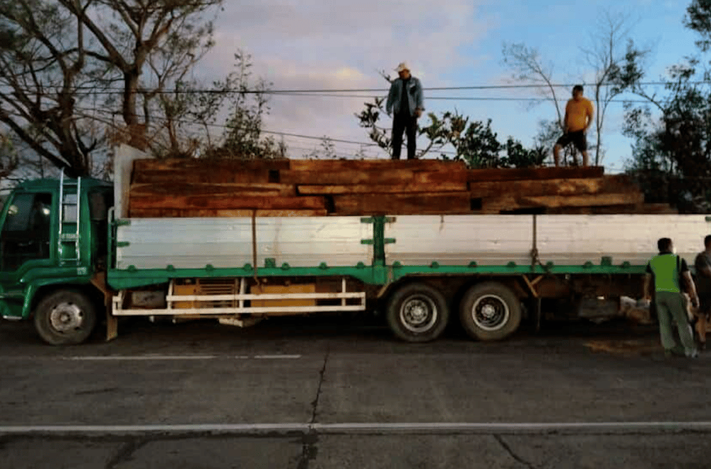 Photo courtesy: PRO-2