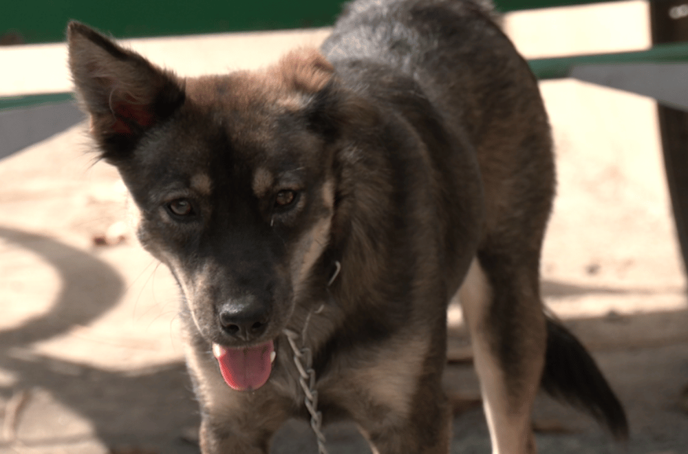 Photo via GMA Regional TV One North Central Luzon