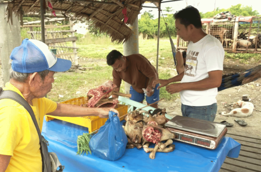 Photo via GMA Regional TV One North Central Luzon