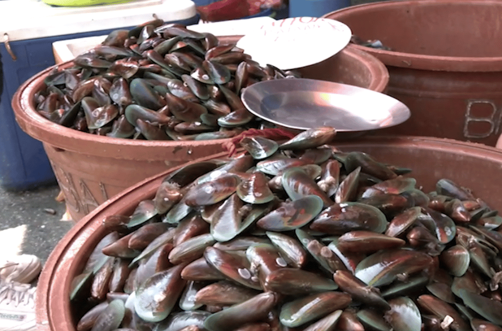 Photo via GMA Regional TV One North Central Luzon