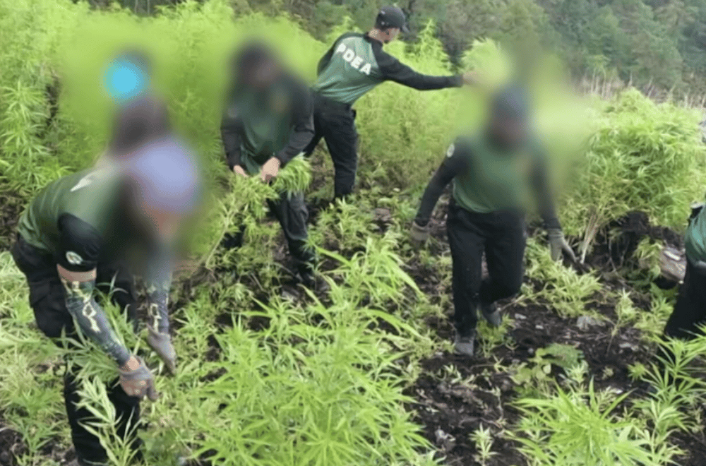 Photo courtesy: PDEA Region 2
