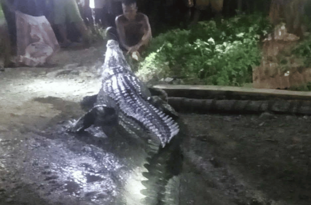 Photo courtesy: Bhoy Magallanes