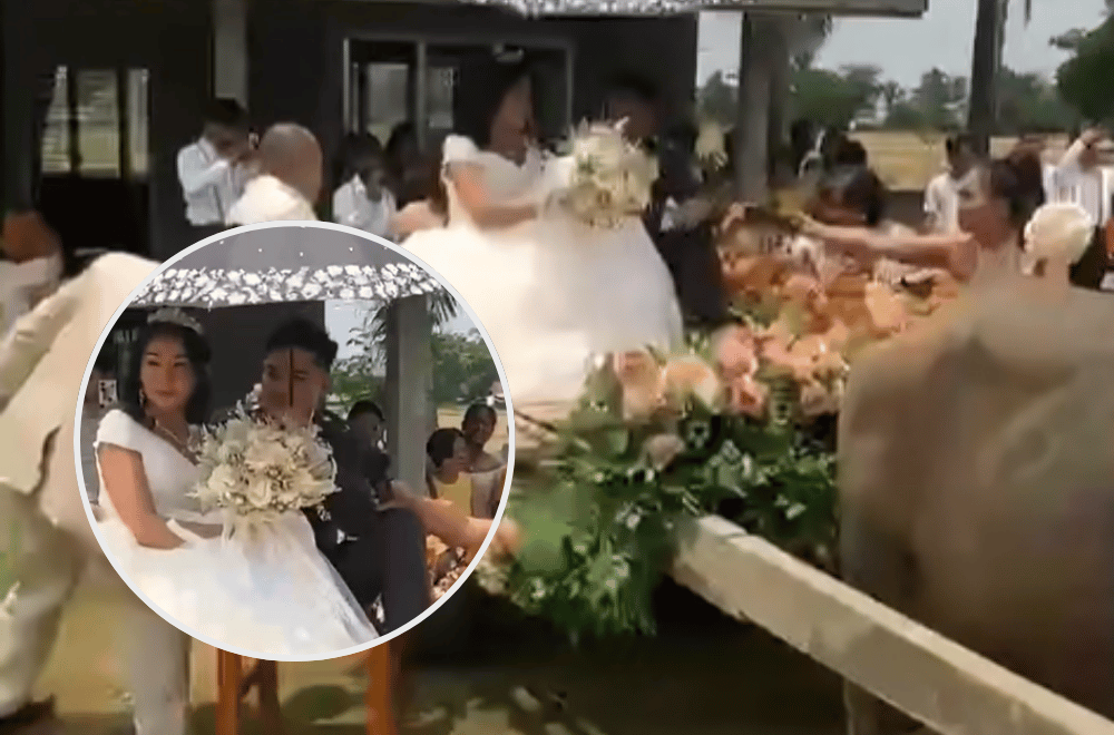 Photo courtesy: Joy Zuñiga