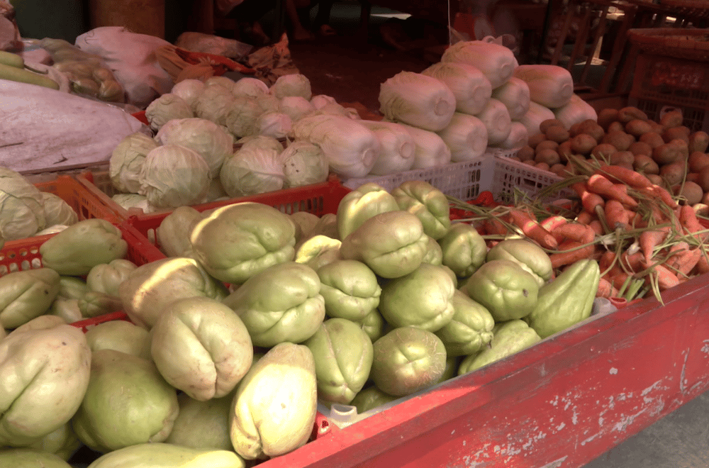 Image via GMA Regional TV One North Central Luzon