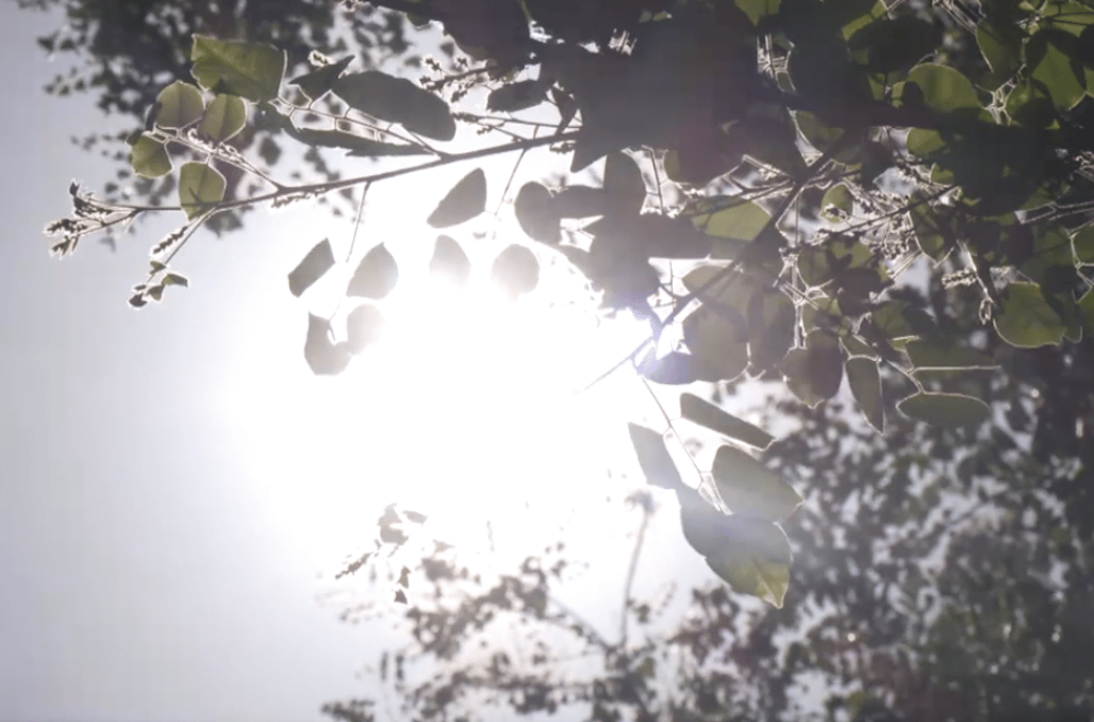 Image via GMA Regional TV One North Central Luzon