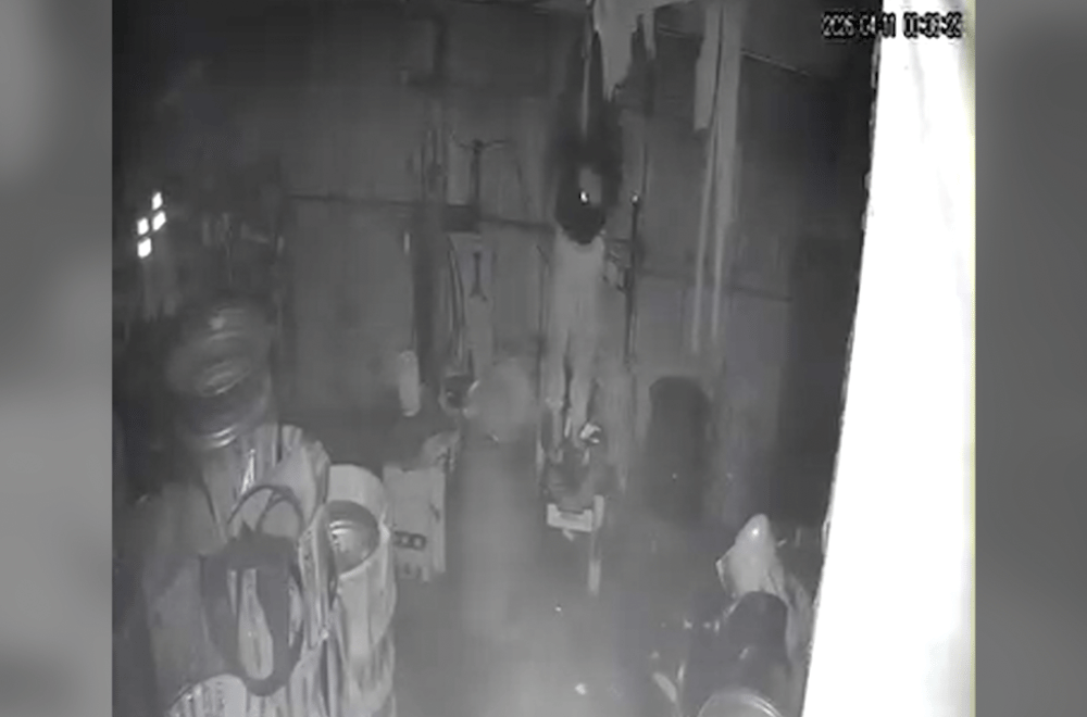 Photo courtesy: Jonell Enterprises