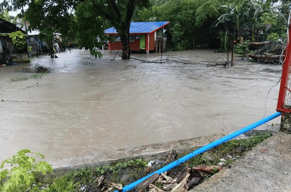 Photos courtesy of Cristie Gravanza via GMA Regional TV Ratsada Balita