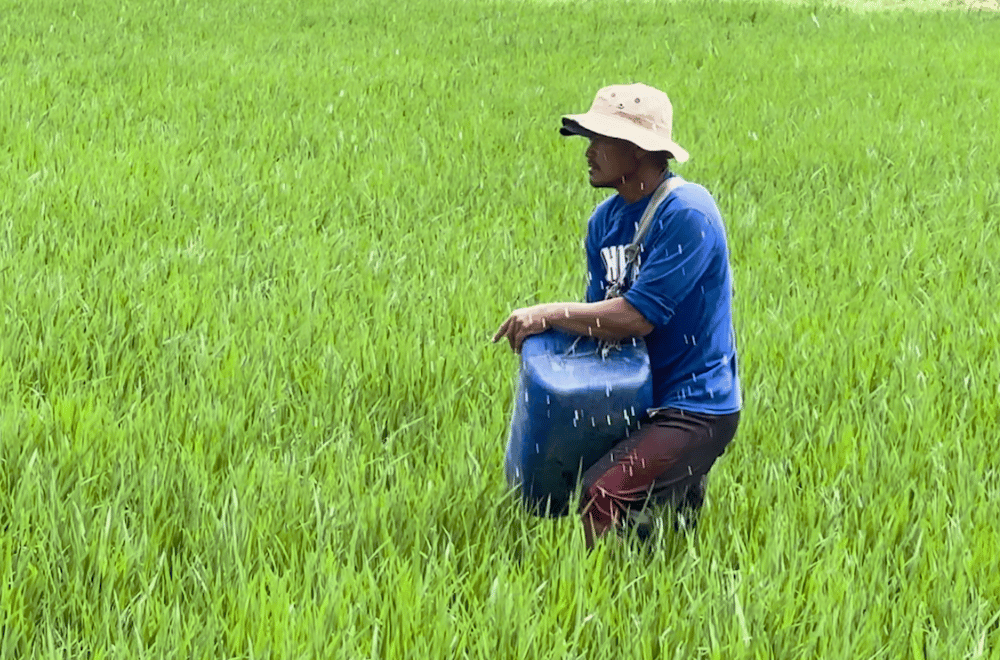 Photo via GMA Regional TV One North Central Luzon