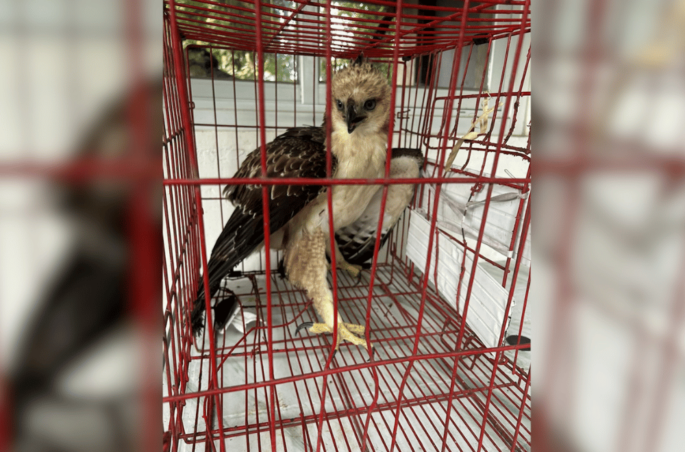 Photo courtesy of MENRO