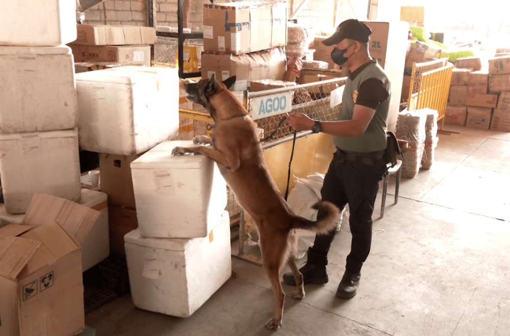 Photo via GMA Regional TV One North Central Luzon