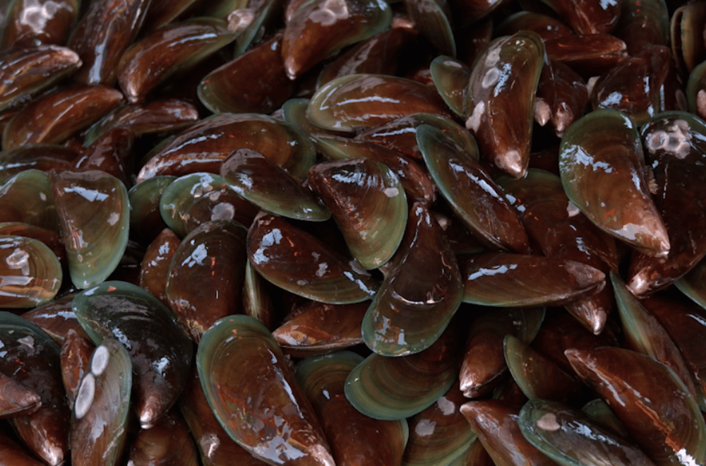 Photo via GMA Regional TV One North Central Luzon