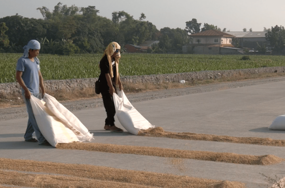 Image via GMA Regional TV One North Central Luzon