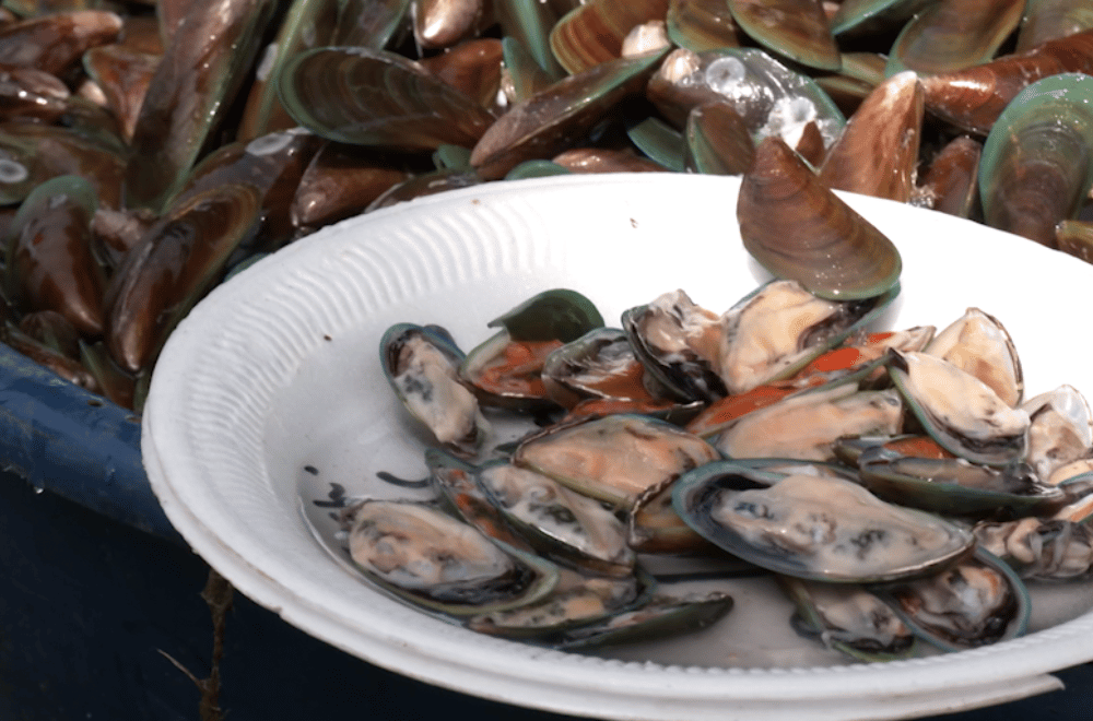 Photo via GMA Regional TV One North Central Luzon