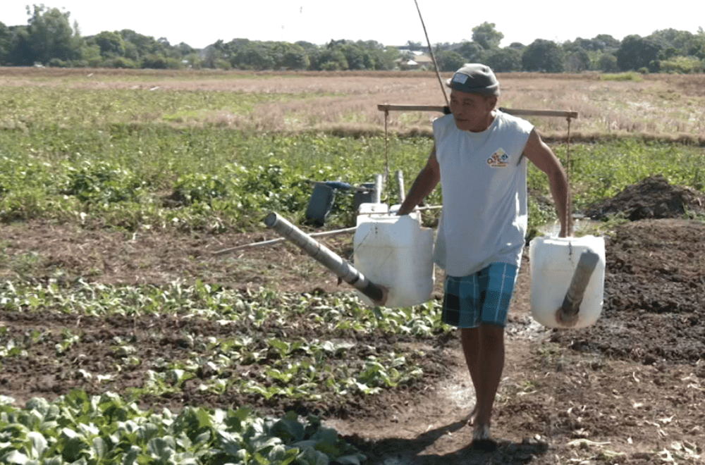 Image via GMA Regional TV One North Central Luzon