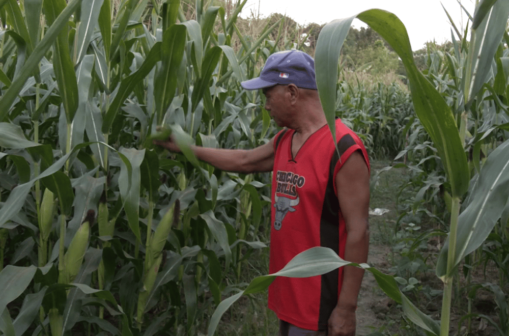 Image via GMA Regional TV One North Central Luzon