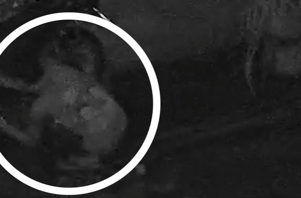 Photo courtesy: Floyd Generao