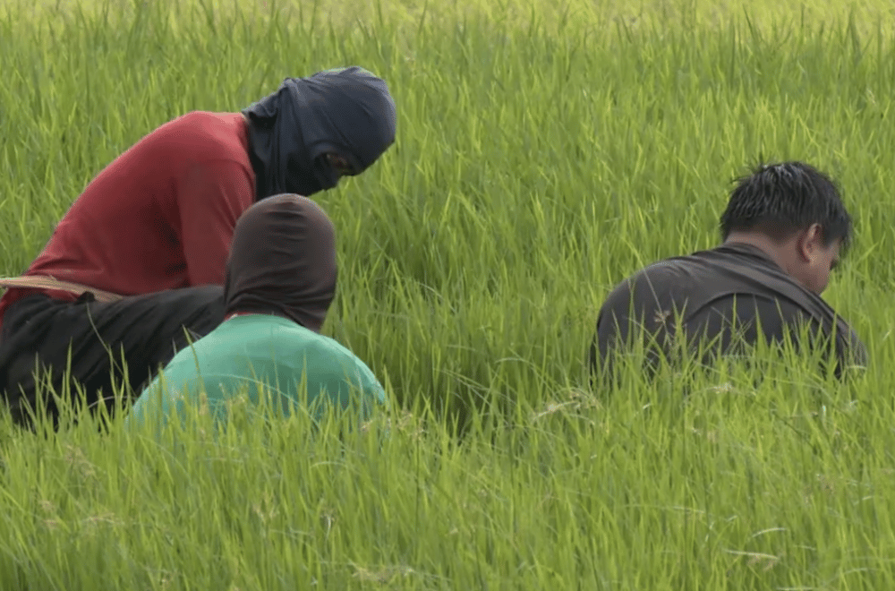 Photo via GMA Regional TV One North Central Luzon