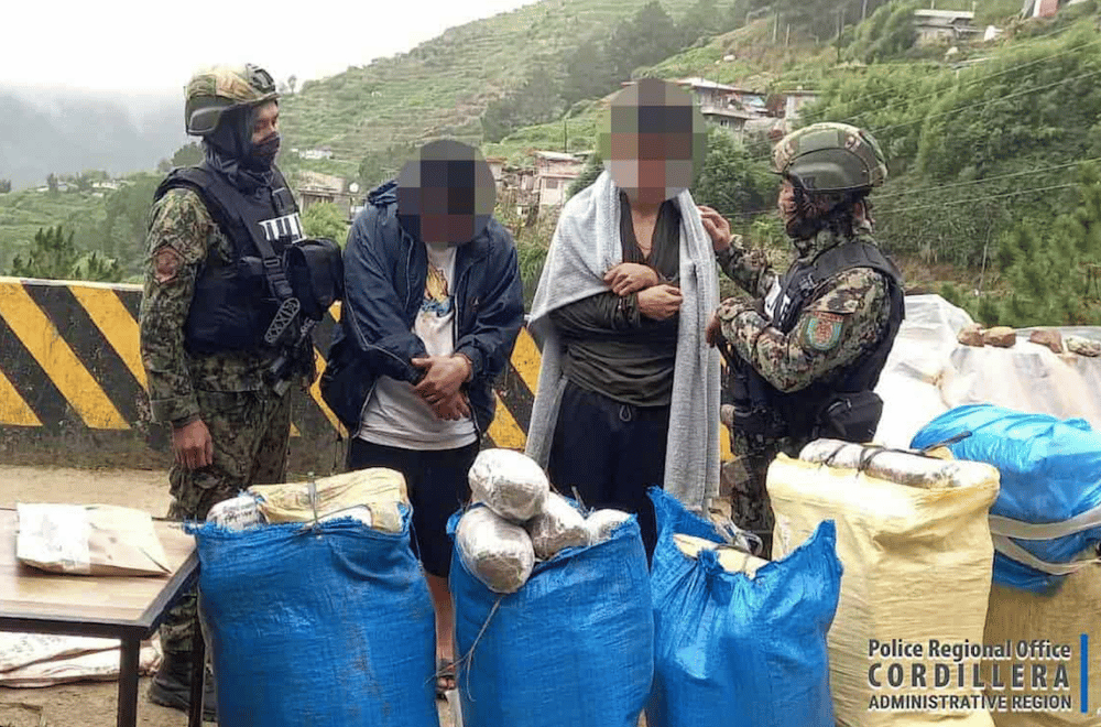 Photo courtesy: PROCAR