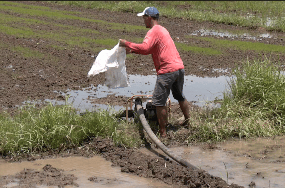 Photo via GMA Regional TV One North Central Luzon