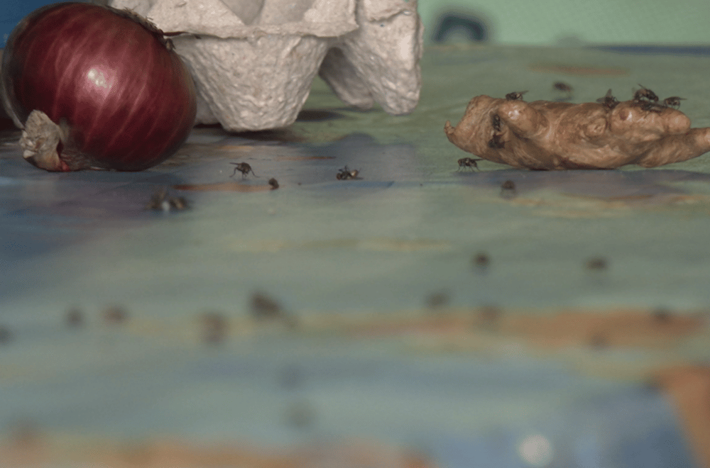 Photo via GMA Regional TV One North Central Luzon