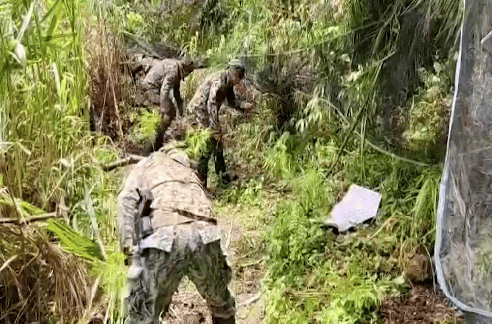 Photo courtesy: PRO-CAR