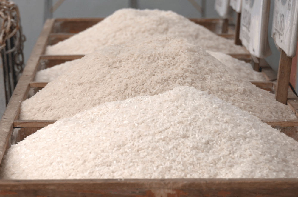 Photo via GMA Regional TV One North Central Luzon